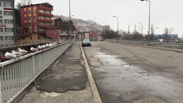 zonguldak dogu marmara ve bati karadeniz de s 4 13924520 o