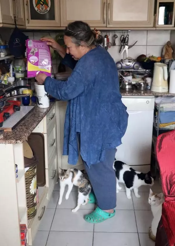 33 kedisine bakabilmek için müstakil eve taşındı