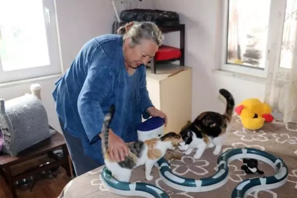 33 kedisine bakabilmek için müstakil eve taşındı