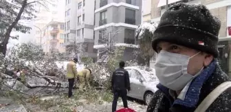 Kadıköy'de otomobillerin üzerine ağaç devrildi