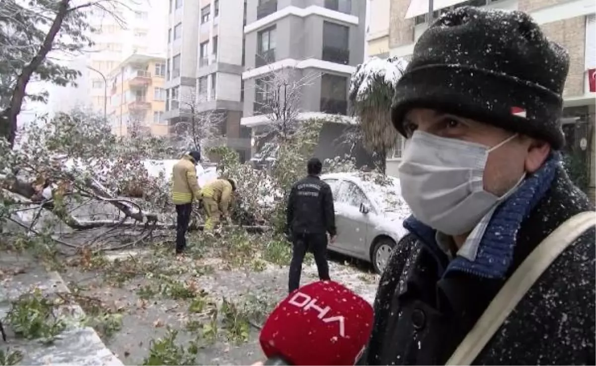 Kadıköy'de otomobillerin üzerine ağaç devrildi