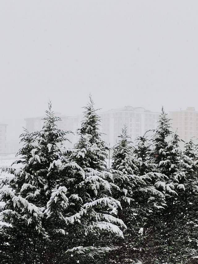 Meteoroloji'nin günlerdir uyardığı İstanbul'da vatandaşlar masal gibi bir sabaha uyandı