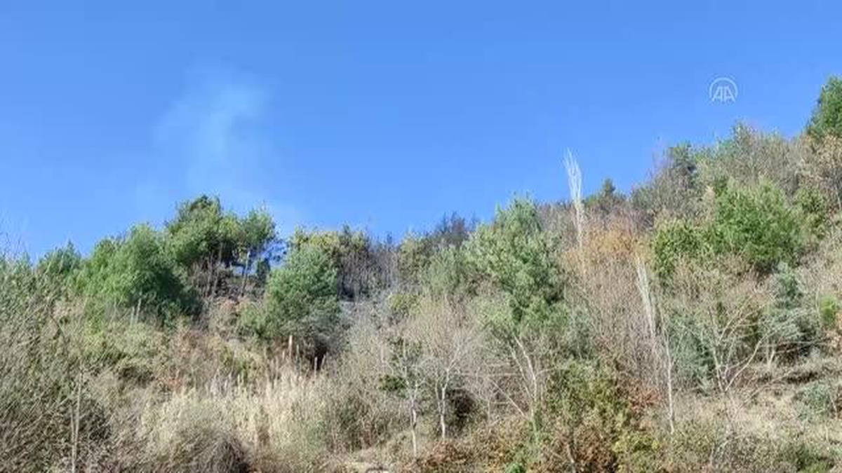 Son dakika haberi | Örtülük alanda çıkan yangın söndürüldü