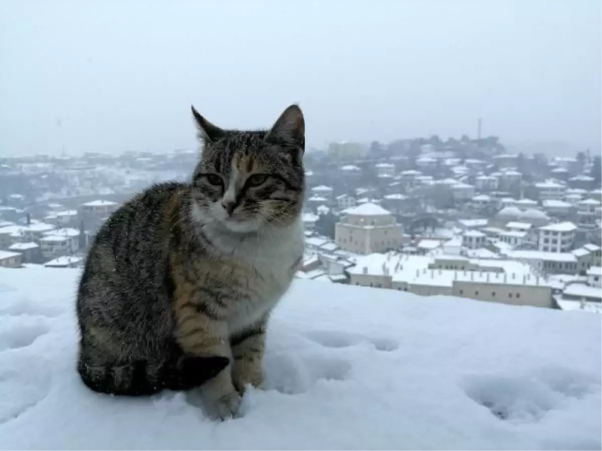 Safranbolu beyaza büründü