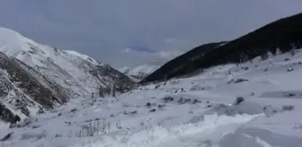 Turistlerin kayak için yeni gözdesi Yusufeli oldu