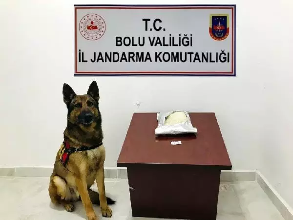 100 kilo bonzai elde edilebilecek ham madde ele geçti 100 kilo bonzai elde edilebilecek ham madde ele geçti