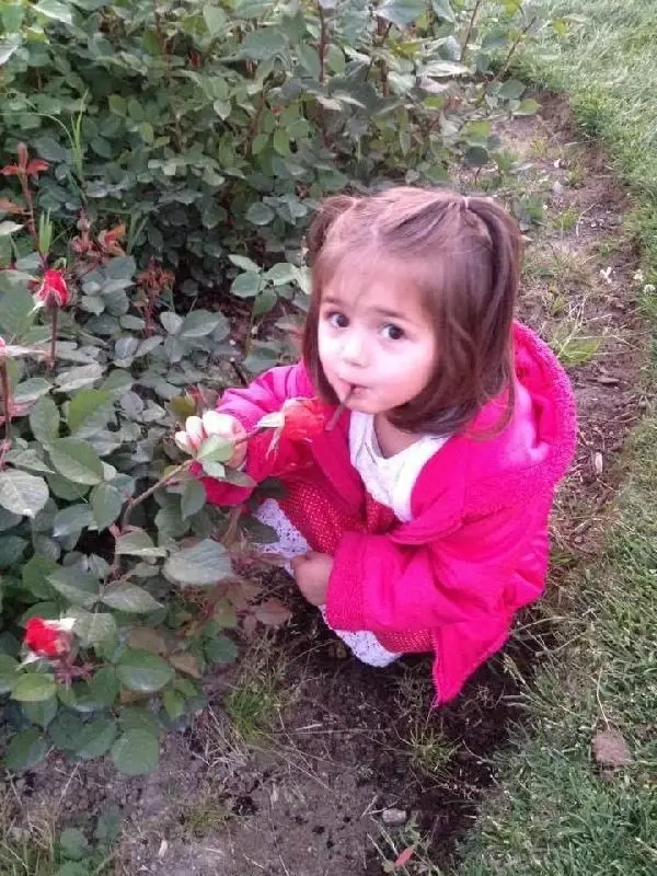 İkranur'un soruşturmasında amca ve hala adliyede (3) İkranur'un soruşturmasında amca ve hala adliyede (3)