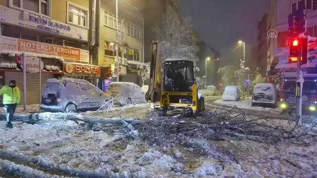 İstanbul'da kar yağışı nedeniyle bazı bölgelerde ağaçlar devrildi İstanbul'da kar yağışı nedeniyle bazı bölgelerde ağaçlar devrildi
