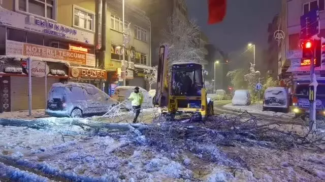 İstanbul'da kar yağışı nedeniyle bazı bölgelerde ağaçlar devrildi İstanbul'da kar yağışı nedeniyle bazı bölgelerde ağaçlar devrildi
