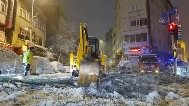 İstanbul'da kar yağışı nedeniyle bazı bölgelerde ağaçlar devrildi İstanbul'da kar yağışı nedeniyle bazı bölgelerde ağaçlar devrildi