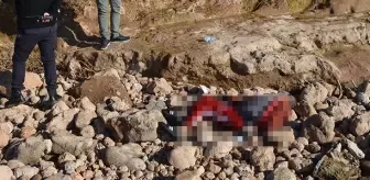 Didim: Ekipleri harekete geçiren cansız beden, denizden kano yardımıyla kıyıya çıkartıldı Didim: Ekipleri harekete geçiren cansız beden, denizden kano yardımıyla kıyıya çıkartıldı