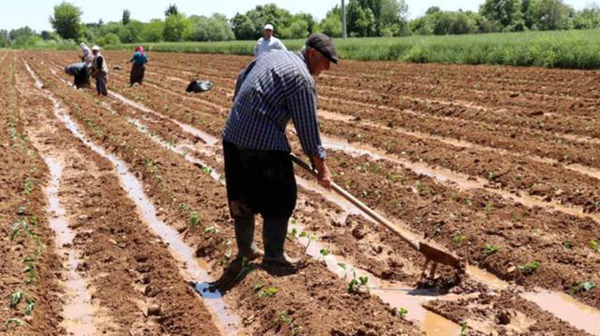 Mazot gübre desteği ne zaman ödenecek? 18 Şubat 2021 Cumhurbaşkanı Erdoğan açıkladı