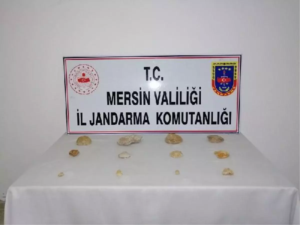Son dakika! Mersin'de tarihi eser operasyonu