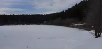 Şavşat'taki Karagöl Tabiat Parkı beyaza büründü