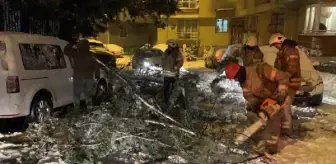 Ümraniye'de ağaç devrildi: 1 otomobil zarar gördü