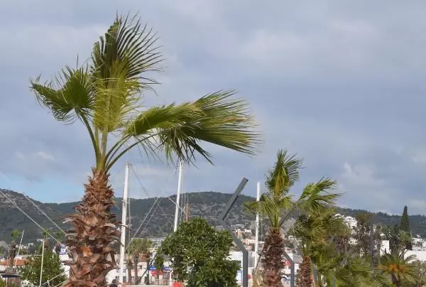 Bodrum'da fırtına hayatı olumsuz etkiledi Bodrum'da fırtına hayatı olumsuz etkiledi
