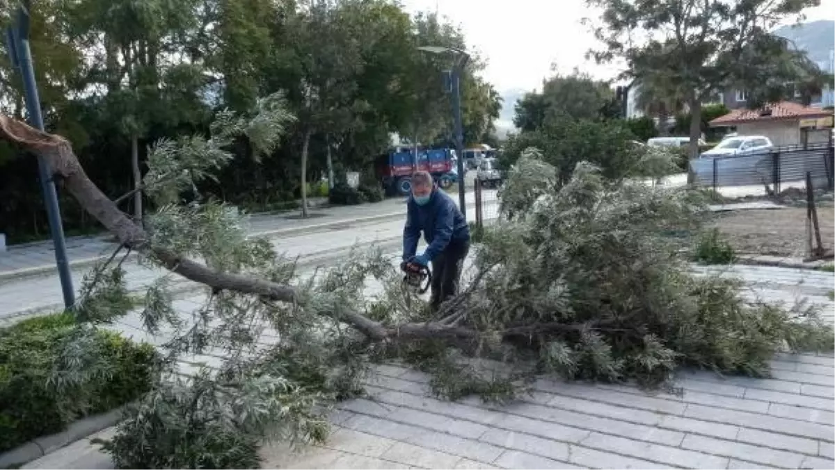 Bodrum'da fırtına hayatı olumsuz etkiledi