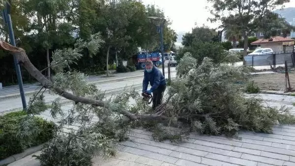 Bodrum'da fırtına hayatı olumsuz etkiledi Bodrum'da fırtına hayatı olumsuz etkiledi