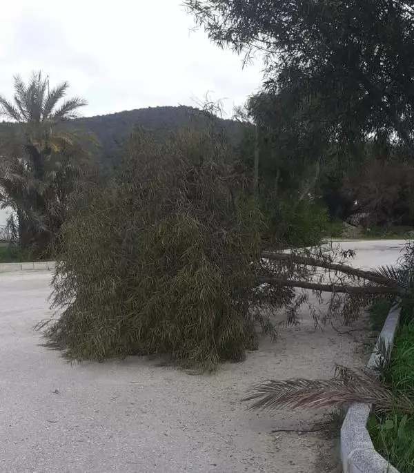 Bodrum'da fırtına hayatı olumsuz etkiledi Bodrum'da fırtına hayatı olumsuz etkiledi
