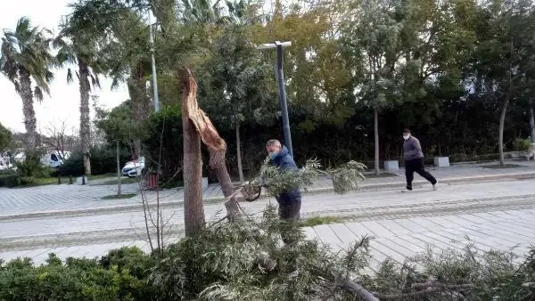 Bodrum'da fırtına hayatı olumsuz etkiledi Bodrum'da fırtına hayatı olumsuz etkiledi