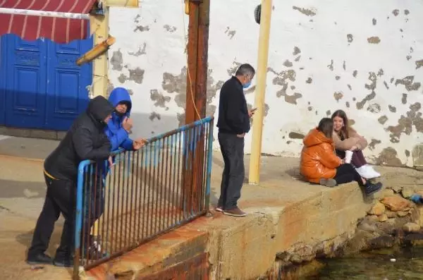 Bodrum'da fırtına hayatı olumsuz etkiledi Bodrum'da fırtına hayatı olumsuz etkiledi
