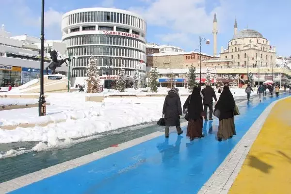 Bolu Belediyesi, ayı heykeli yapmaktan vazgeçti Bolu Belediyesi, ayı heykeli yapmaktan vazgeçti