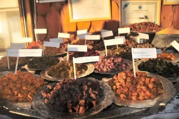 Damla sakızlı kahveli mantı yaptı, büyük beğeni aldı Haberler