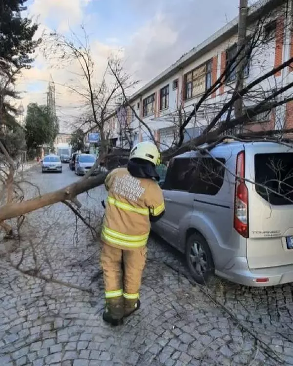 İzmir'de etkili olan fırtına nedeniyle ağaçlar devrildi, çatılar uçtu ile ilgili görsel sonucu