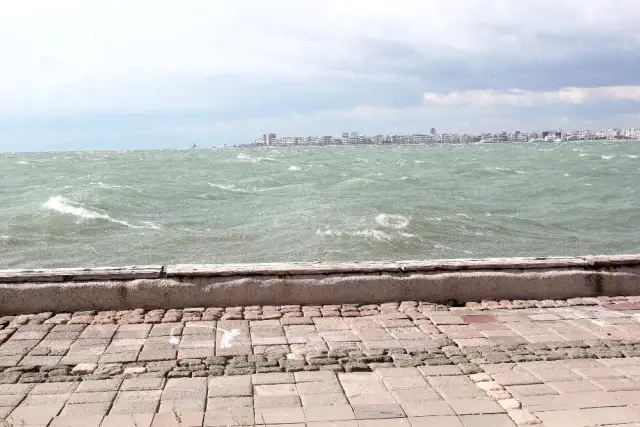 İzmir'de fırtına kabusu geri döndü, kırılan ağaçlar otomobillerin üzerine devrildi İzmir'de fırtına kabusu geri döndü, kırılan ağaçlar otomobillerin üzerine devrildi