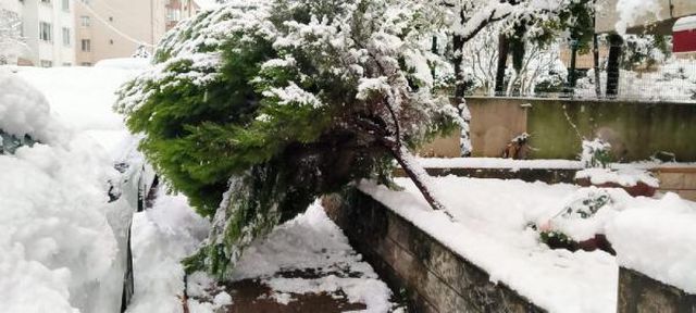 kocaeli de kar yagisi ulasimi olumsuz etkiled 14 13930624 o