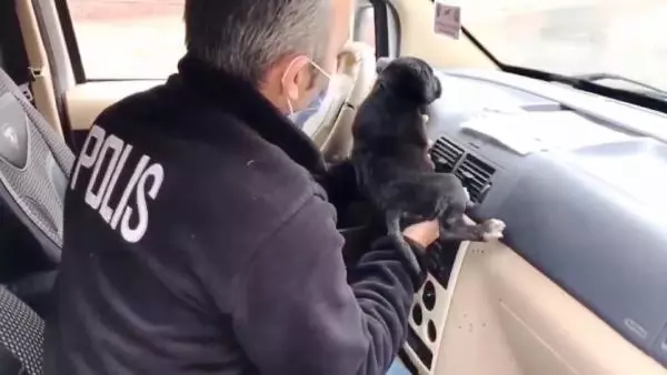 Polisler, üşüyen yavru köpeği ekip aracında ısıttı Polisler, üşüyen yavru köpeği ekip aracında ısıttı