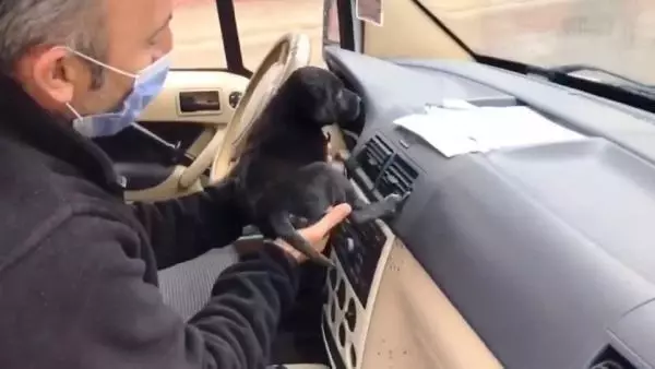 Polisler, üşüyen yavru köpeği ekip aracında ısıttı Polisler, üşüyen yavru köpeği ekip aracında ısıttı