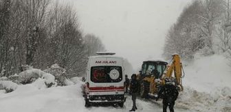 Sakarya'da kar yağışı ulaşımı olumsuz etkiledi