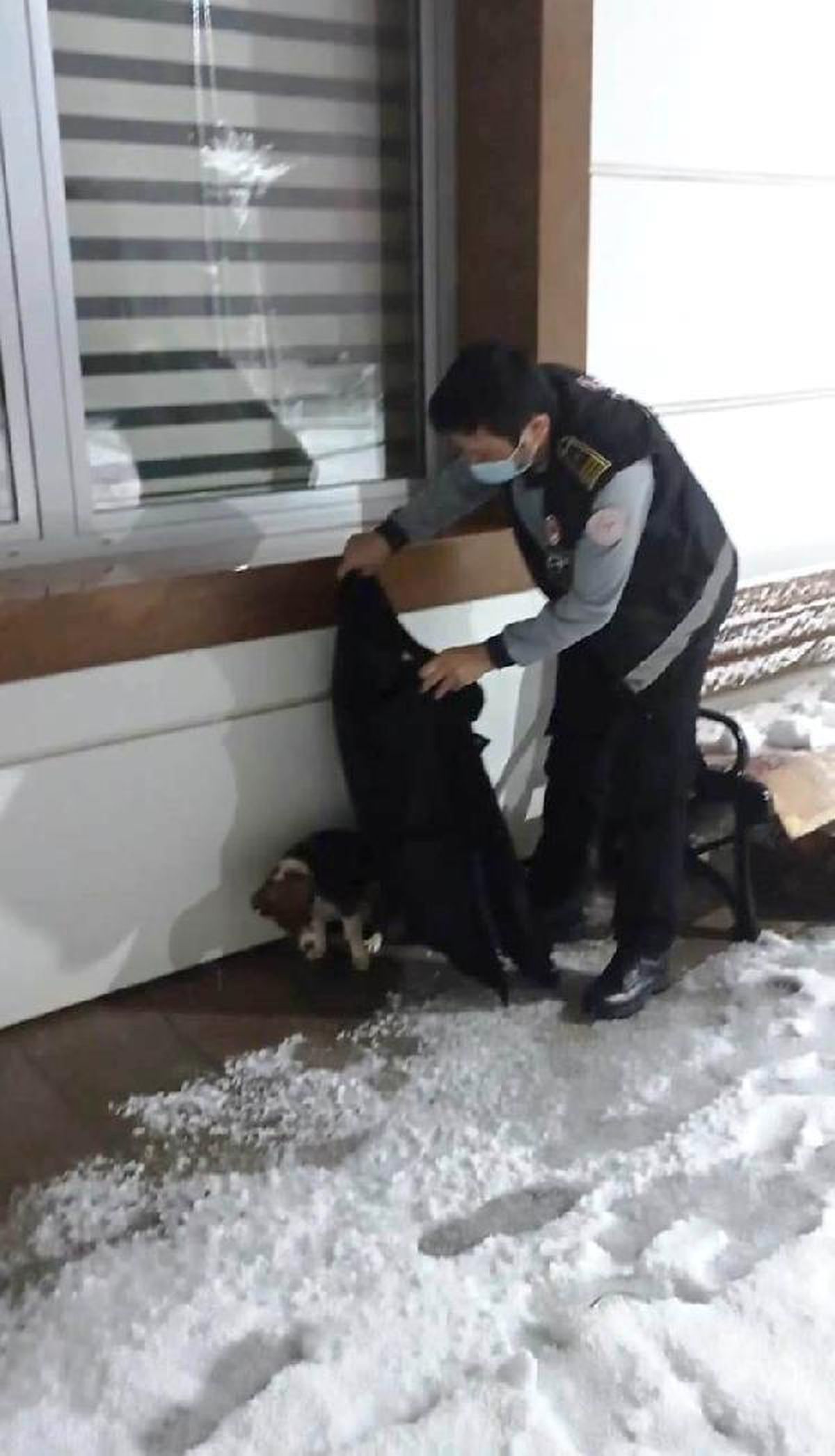 Soğuktan etkilenen yavru köpeği montu ile ısıttı