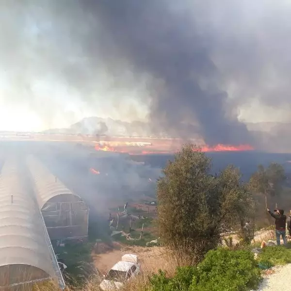 Son dakika haberleri! Antalya'da sazlık alanda yangın (1)