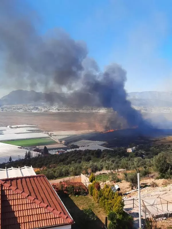 Son dakika haberleri! Antalya'da sazlık alanda yangın (1)