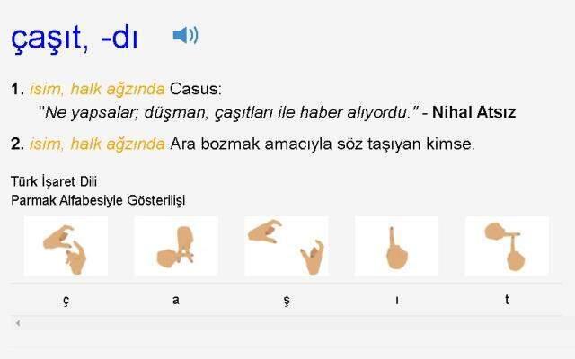 Çaşıt ne demek? TDK'ya göre Çaşıt kelimesi nedir, ne anlama geliyor?