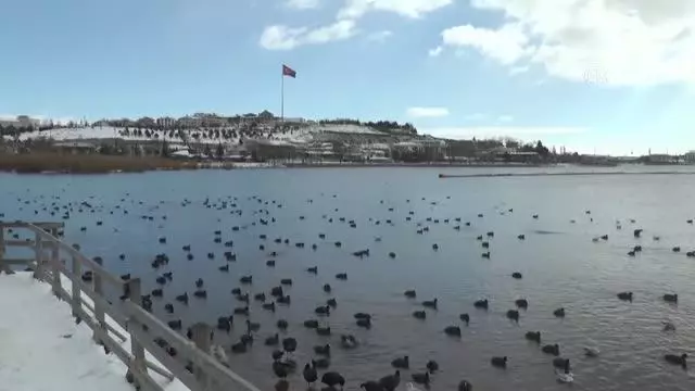 Gölbaşı'nda vatandaşlar Mogan Gölü'nde karın keyfini çıkardı Gölbaşı'nda vatandaşlar Mogan Gölü'nde karın keyfini çıkardı
