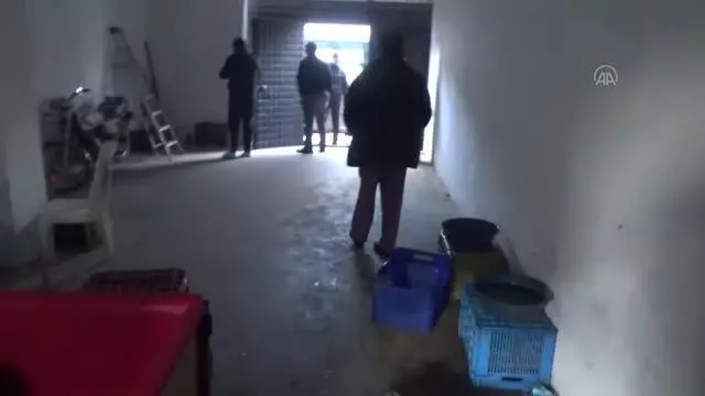 Horoz dövüştüren 27 kişiye 121 bin lira para cezası