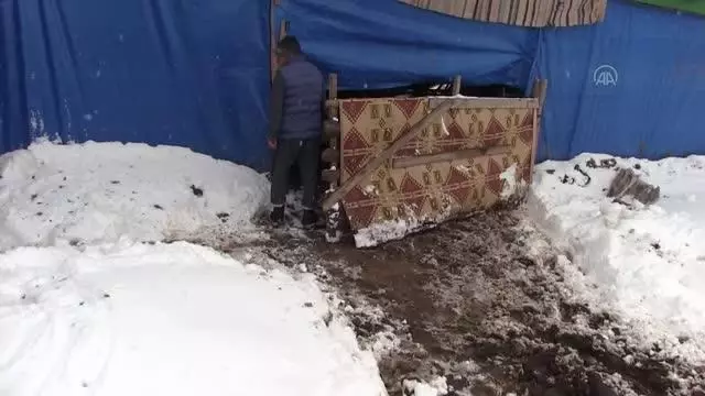 KAHRAMANMARAŞ - Kar yağışı nedeniyle bir ahırın çatısı çöktü, 5 hayvan telef oldu KAHRAMANMARAŞ - Kar yağışı nedeniyle bir ahırın çatısı çöktü, 5 hayvan telef oldu