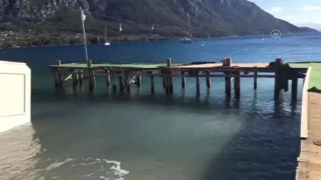 Kuvvetli fırtına ağaçları devirdi Kuvvetli fırtına ağaçları devirdi