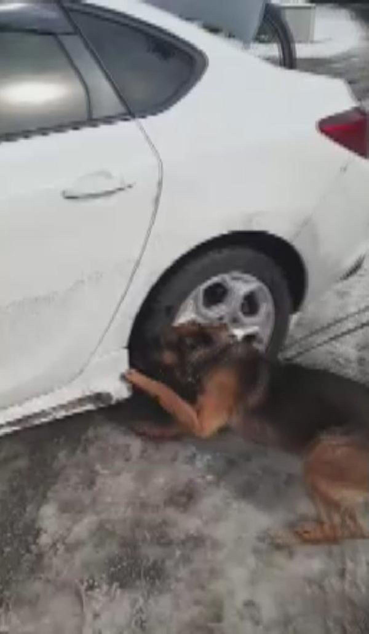 Otomobilin çamurluğuna gizlenilmiş 14 kilo 625 gram eroin ele geçirildi
