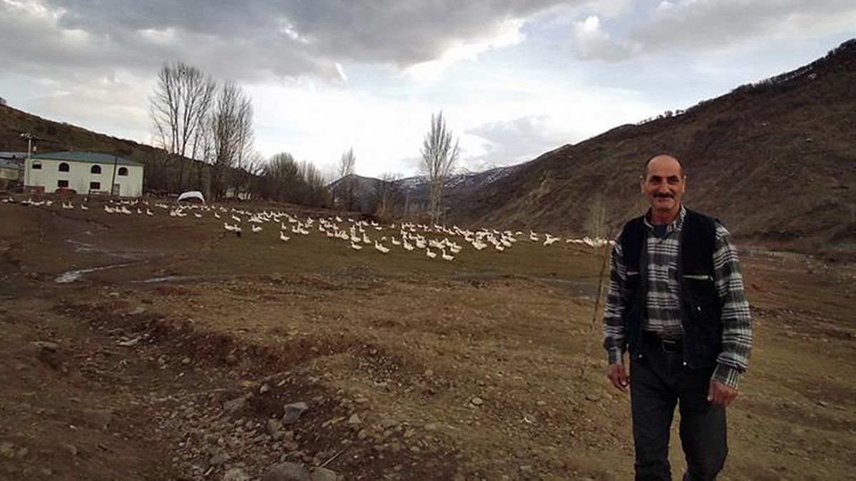 'Yapamazsın' dediler, kurduğu kaz çiftliğinde şimdi taleplere yetişemiyor