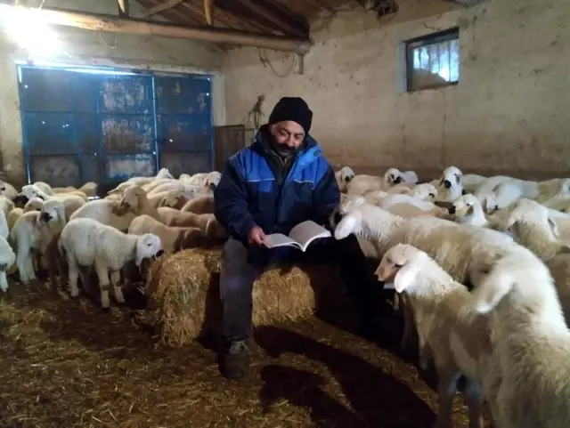 Aksaray'da 1 saat içinde on binlerce kitap okundu Aksaray'da 1 saat içinde on binlerce kitap okundu