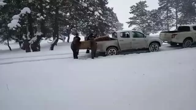 Aladağ Yaylası'nda bir metre karda yaşam mücadelesi veren yabani hayvanlara yem bırakıldı Aladağ Yaylası'nda bir metre karda yaşam mücadelesi veren yabani hayvanlara yem bırakıldı