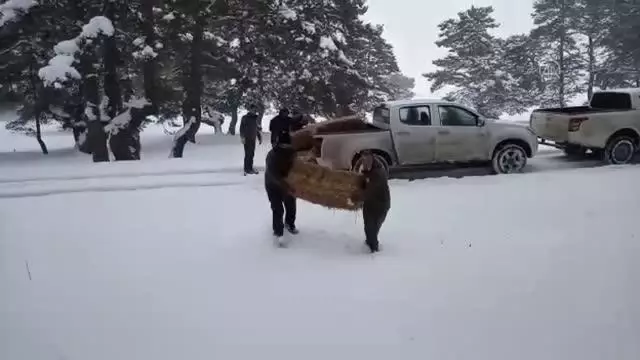 Aladağ Yaylası'nda bir metre karda yaşam mücadelesi veren yabani hayvanlara yem bırakıldı Aladağ Yaylası'nda bir metre karda yaşam mücadelesi veren yabani hayvanlara yem bırakıldı