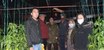 Antalya'da üretici don nöbetinde