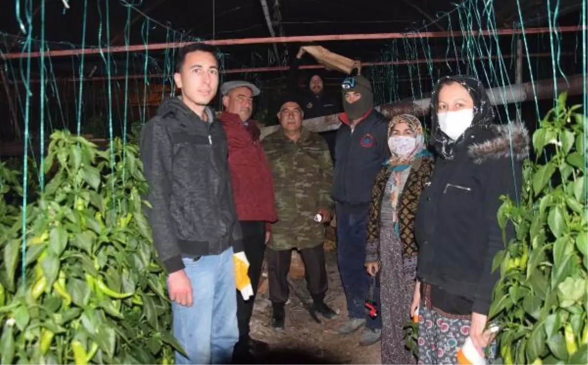 Antalya'da üretici don nöbetinde