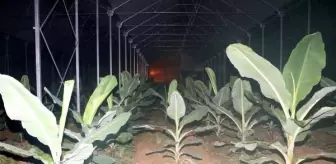 Antalya'da üretici don nöbetinde (2)