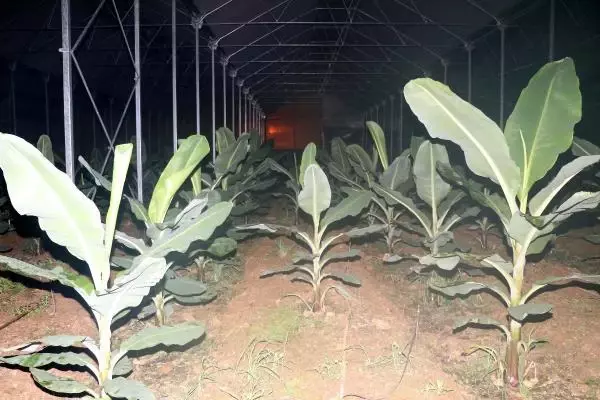 Antalya'da üretici don nöbetinde (2) Antalya'da üretici don nöbetinde (2)